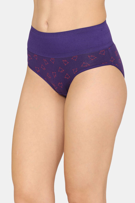 Zivame Anti-Microbial High Rise Full Coverage Tummy Tucker Hipster Panty (Pack of 2) - Multicolor — image 7